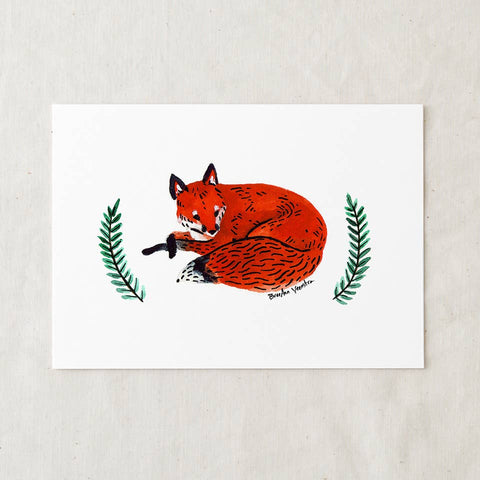 Red Fox Art Print - Wren + Finn