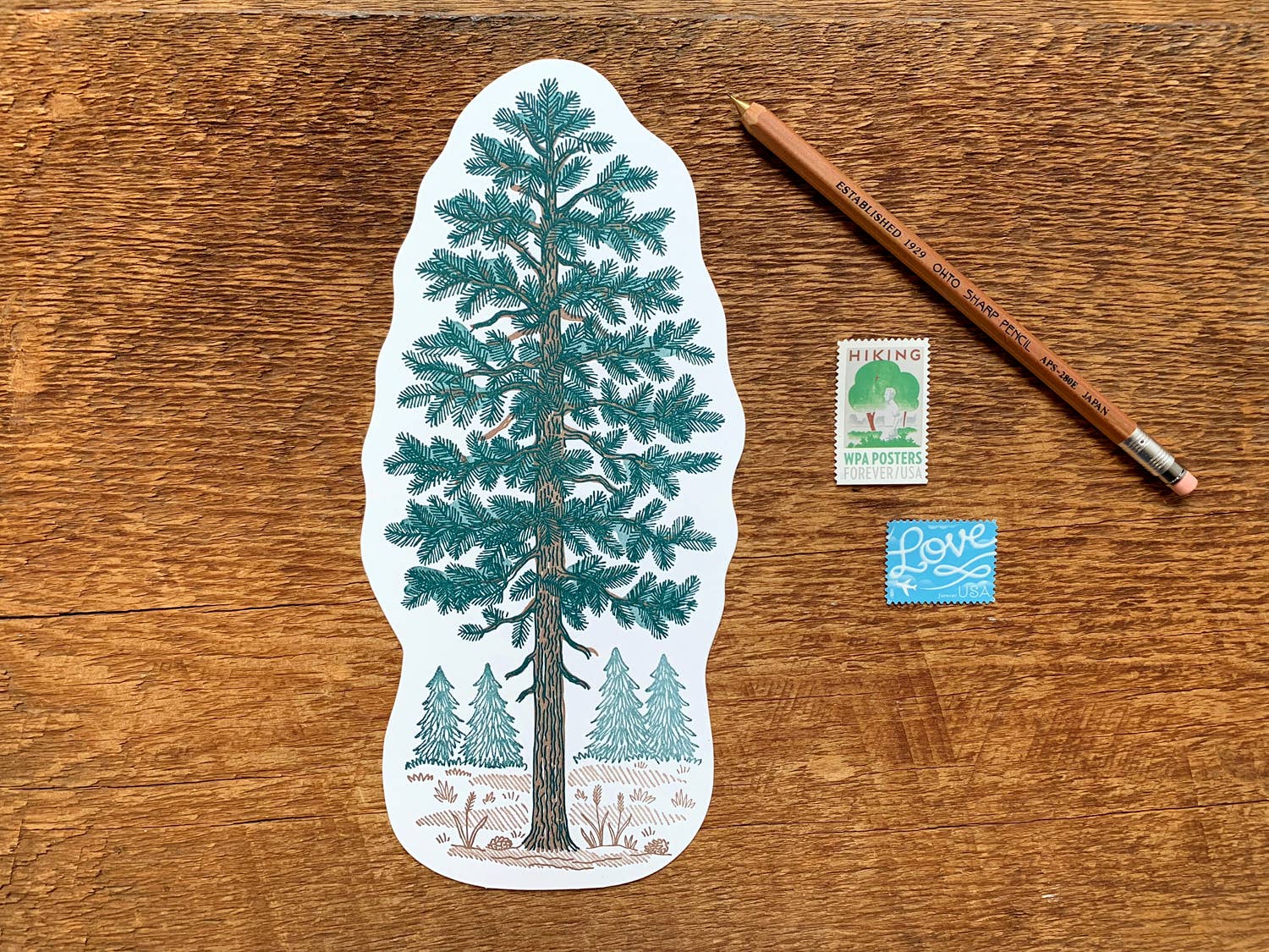 Pine Tree Postcard - Wren + Finn